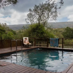 Отель Addo Elephant Lodge & Safaris бассейн фото 3