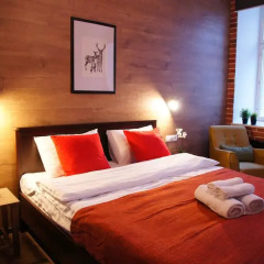 LiKi LOFT HOTEL 3* Стандартный номер с различными типами кроватей фото 4