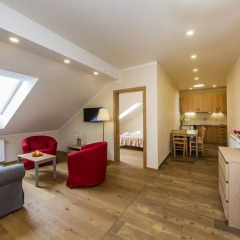 Отель Aparthotel Lublanka 3* Люкс с различными типами кроватей фото 14