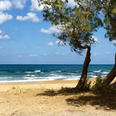 Отель Comfort Corali Beach пляж