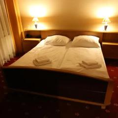 Hotel Palacký 3* Стандартный номер с двуспальной кроватью фото 5