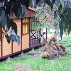 Отель Lisboa Camping Бунгало с различными типами кроватей фото 5