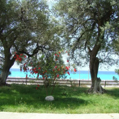Отель Altea Beach Lodges 3* Бунгало с различными типами кроватей фото 3