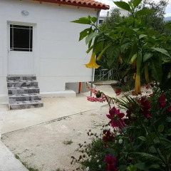 Отель Green House Ksamil Албания, Ксамил - отзывы, цены и фото номеров - забронировать отель Green House Ksamil онлайн фото 2