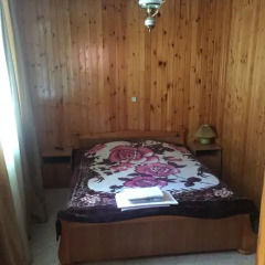 Lotos Mini hotel Домбай комната для гостей фото 4