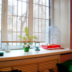 Hostel Panamas в номере