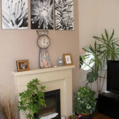Отель Gatley Homestay интерьер отеля фото 2