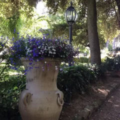 Отель Villa Berghella фото 17