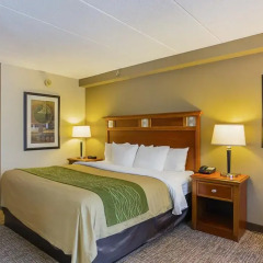 Отель Comfort Inn Washington Dulles International 2* Стандартный номер с различными типами кроватей
