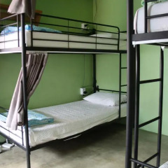 Mr.Comma Guesthouse - Hostel Кровать в женском общем номере с двухъярусной кроватью фото 25