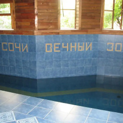 Гостиница Vechniy Zov в Сочи - забронировать гостиницу Vechniy Zov, цены и фото номеров спортивное сооружение