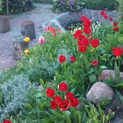 Гостиница Guest House Trigona в Зеленоградске отзывы, цены и фото номеров - забронировать гостиницу Guest House Trigona онлайн Зеленоградск фото 6