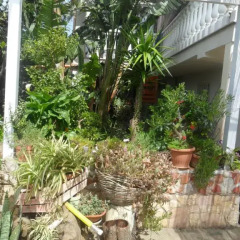 Отель Garden Fiorella Италия, Чинизи - отзывы, цены и фото номеров - забронировать отель Garden Fiorella онлайн фото 13
