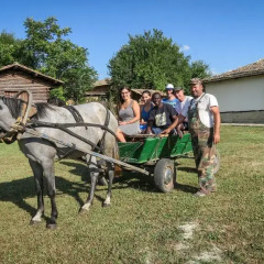Отель Botev Houses Болгария, Шумен - отзывы, цены и фото номеров - забронировать отель Botev Houses онлайн детские мероприятия