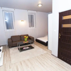 Апартаменты Studio Apartament Centrum Katowice Апартаменты с различными типами кроватей фото 4