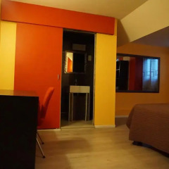 Hotel Francois 3* Номер Делюкс с различными типами кроватей