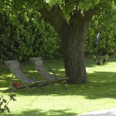 Отель Campodisole Озимо фото 4