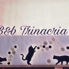 Отель Trinacria Италия, Палермо - отзывы, цены и фото номеров - забронировать отель Trinacria онлайн фитнесс-зал
