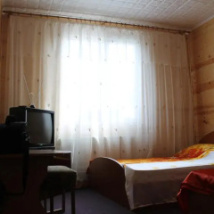 Mini-hotel Ekonomnaya Derevnia Стандартный номер разные типы кроватей фото 2