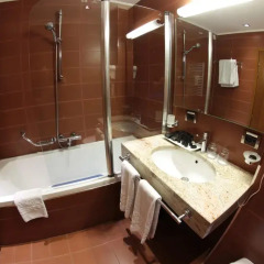Tirana International Hotel & Conference Centre 4* Номер Делюкс с различными типами кроватей фото 5
