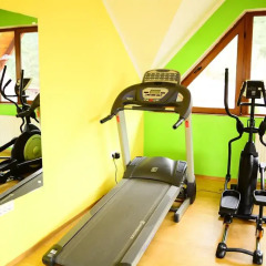 Отель Complex Hanul Muresenilor 4* Стандартный номер с различными типами кроватей фото 7