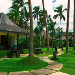 Отель The Naviti Resort 4* Стандартный номер с различными типами кроватей фото 5
