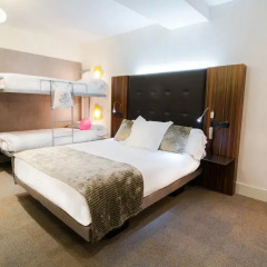 Отель Petit Palace Tamarises 3* Стандартный номер с различными типами кроватей