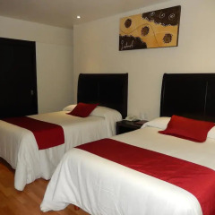 Hotel Roma Guadalajara 3* Стандартный номер с двуспальной кроватью