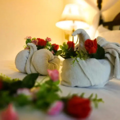 Africa House Hotel в номере