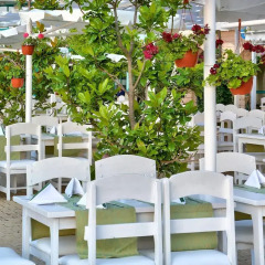 Berlin Golden Beach Hotel - All Inclusive питание фото 2