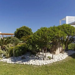 Отель Belvedere Beachfront Villa фото 3