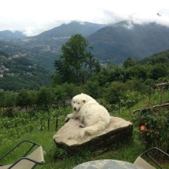 Гостевой Дом Agriturismo Al-Marnich Скиньяно фото 11