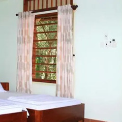 Отель Truong Linh Phu Quoc Resort 2* Стандартный номер с различными типами кроватей фото 9