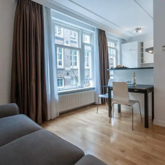 Отель Elegant City Apartment Нидерланды, Амстердам - отзывы, цены и фото номеров - забронировать отель Elegant City Apartment онлайн комната для гостей фото 3