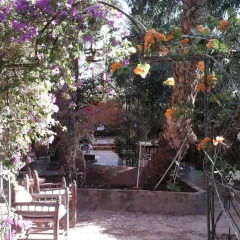 Отель Dar Nekhla - La Maison Des Palmiers Марокко, Загора - отзывы, цены и фото номеров - забронировать отель Dar Nekhla - La Maison Des Palmiers онлайн фото 2