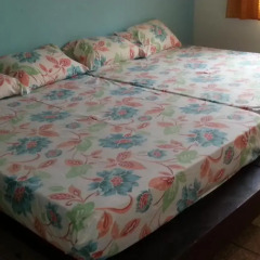 Отель Eden Lodge 2* Номер Делюкс с различными типами кроватей фото 42