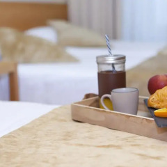 Hotel Victoria 4 в номере фото 2