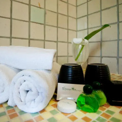 Отель Tanaosri Resort 3* Вилла с различными типами кроватей фото 5
