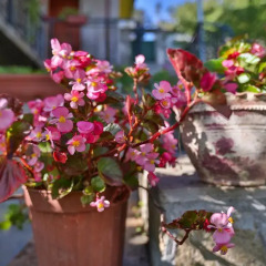 Отель Guest House Villa Teres Казанлак фото 12