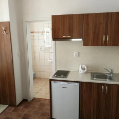 Апартаменты Apartments U Svejku Апартаменты с различными типами кроватей фото 8
