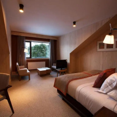 Valle Corralco Hotel & Spa комната для гостей фото 3