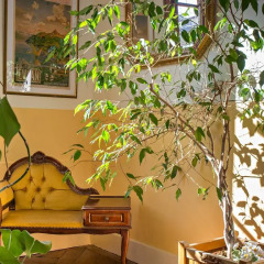 Отель Hôtel Continental Эвиан-ле-Бен