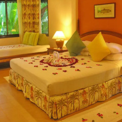 Отель White House Beach Resort 4* Номер Делюкс с различными типами кроватей фото 2
