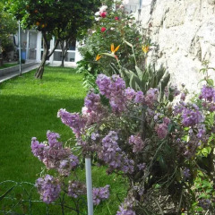 Hotel Miradaire Porto фото 10