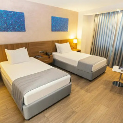 Fesa Business Hotel 4* Номер Делюкс с различными типами кроватей фото 7