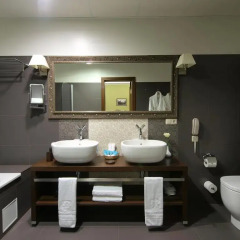 Gallery Park Hotel & SPA, a Châteaux & Hôtels Collection 5* Президентский люкс с различными типами кроватей