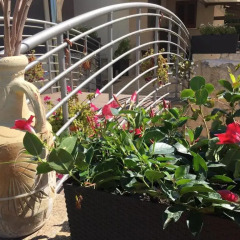 Отель Bed and Breakfast Giardini di Marzo Лечче фото 4