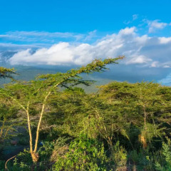 Отель Nature Homes - Africa Amini Life фото 12