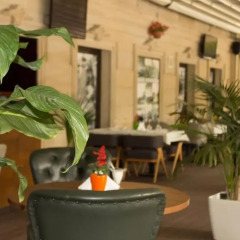 Отель Vego Hotel Азербайджан, Гянджа - отзывы, цены и фото номеров - забронировать отель Vego Hotel онлайн питание
