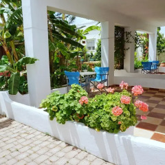 Отель Saronis Hotel Греция, Агистри - отзывы, цены и фото номеров - забронировать отель Saronis Hotel онлайн фото 10